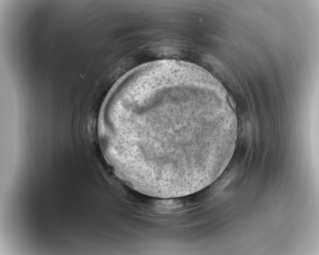 X0000095690281200802051319