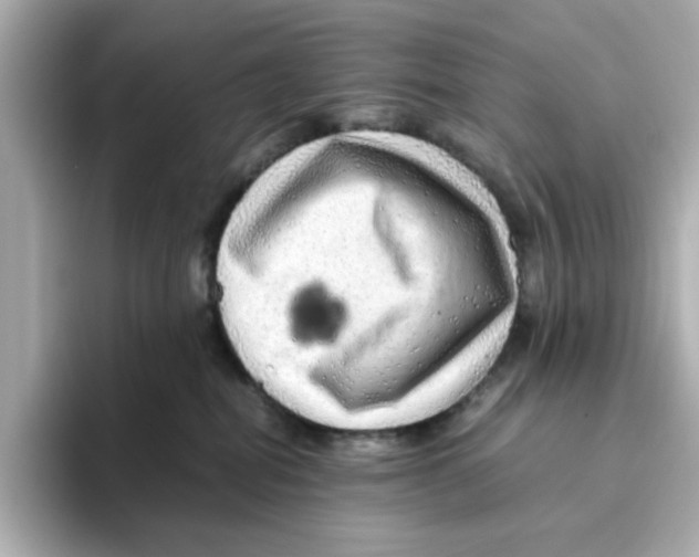X0000095690282200802051319