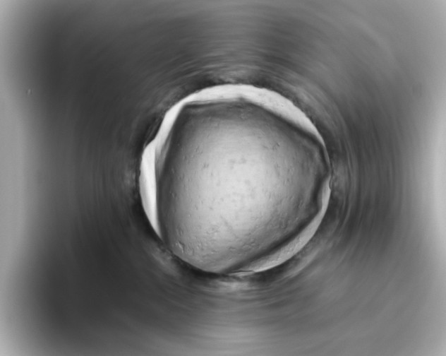 X0000095690284200802051319