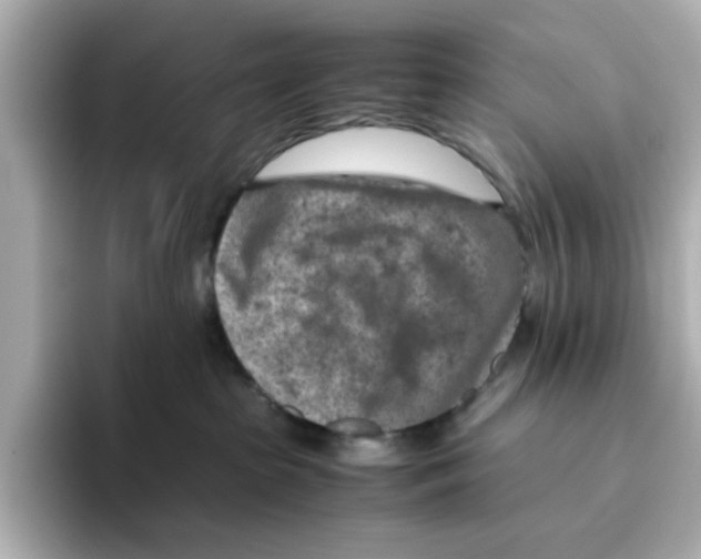 X0000095690285200802051319