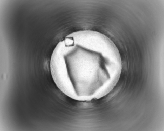 X0000095690286200802051319