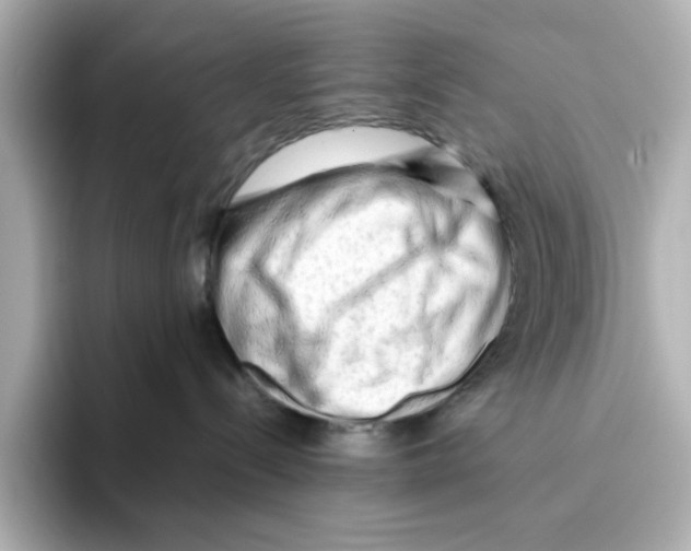 X0000095690288200802051319