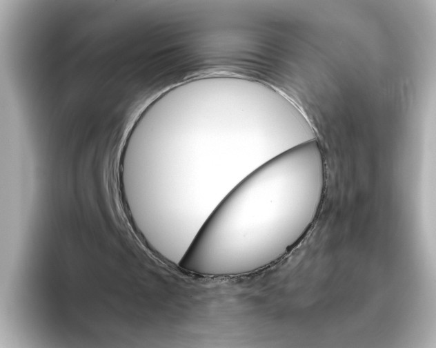 X0000095690289200802051318
