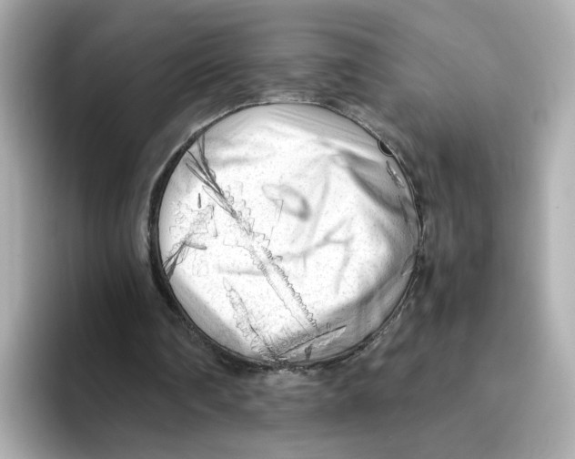 X0000095690290200802051318