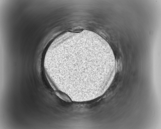 X0000095690291200802051318