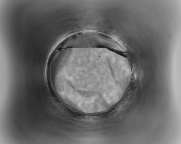 X0000095690292200802051318