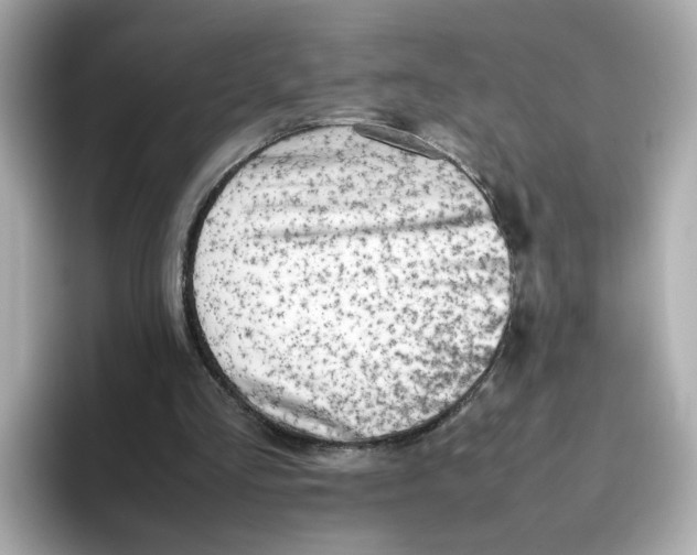 X0000095690293200802051318