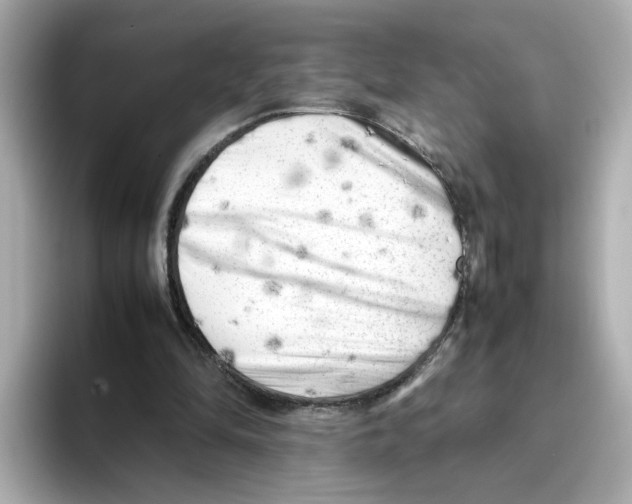 X0000095690294200802051318