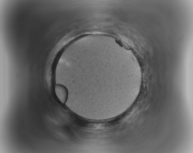 X0000095690295200802051318