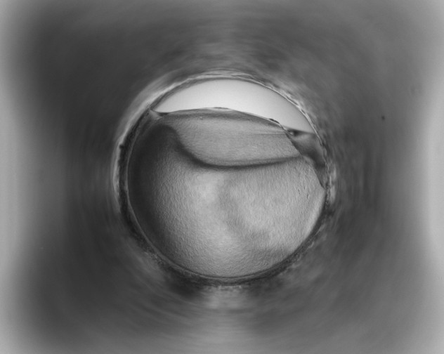 X0000095690296200802051318
