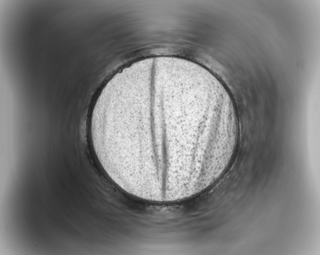 X0000095690297200802051318
