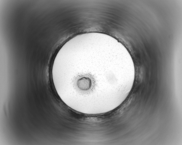 X0000095690298200802051318