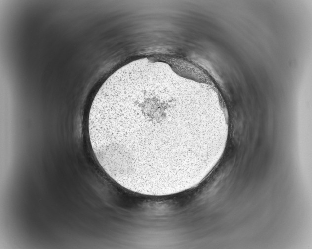 X0000095690299200802051318