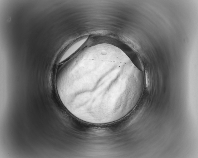 X0000095690300200802051318