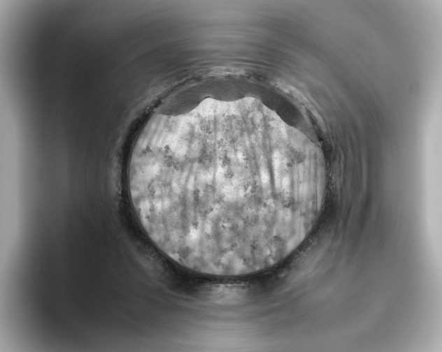 X0000095690303200802051318