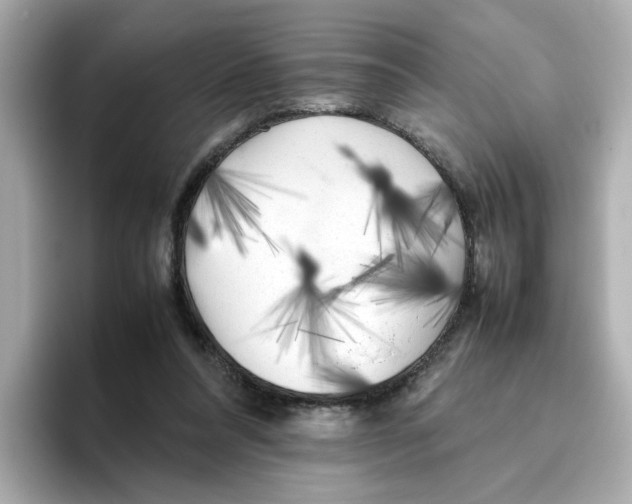 X0000095690304200802051318