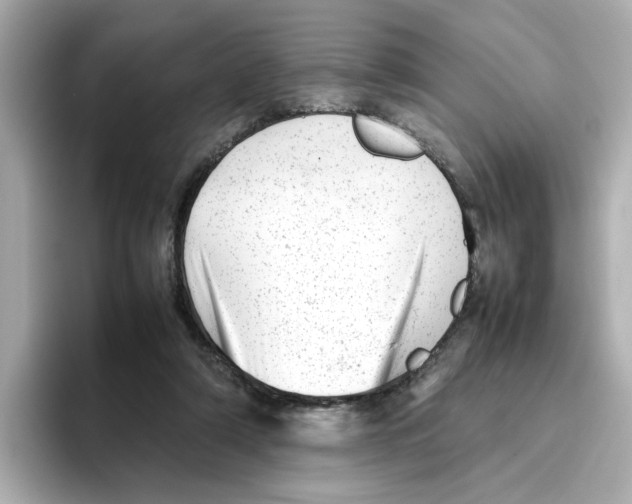 X0000095690306200802051318