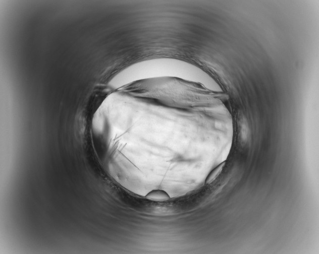 X0000095690308200802051318
