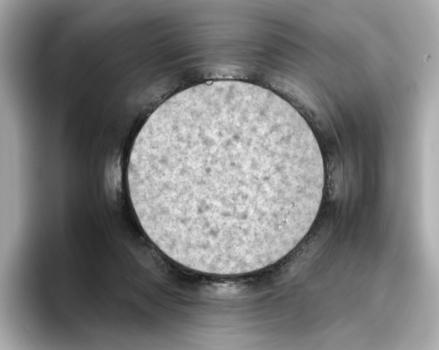 X0000095690310200802051318