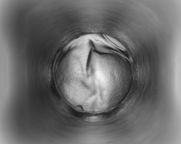 X0000095690312200802051318