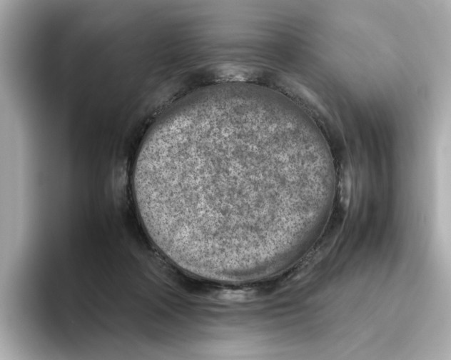 X0000095690314200802051318