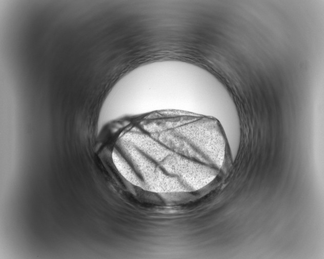X0000095690316200802051318