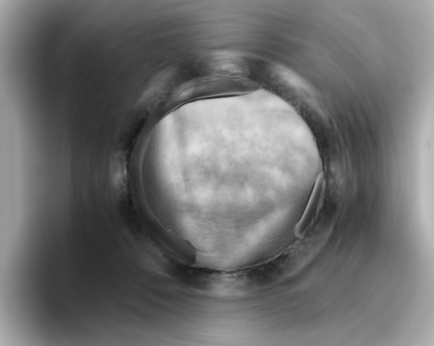 X0000095690320200802051318