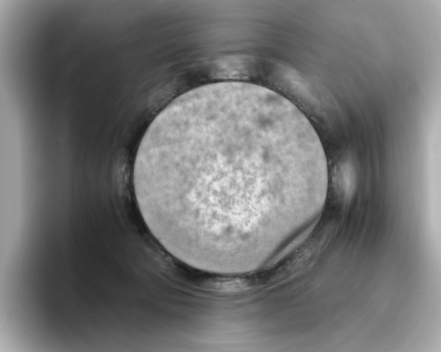 X0000095690322200802051318