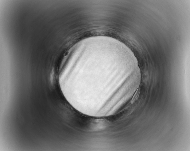 X0000095690324200802051318