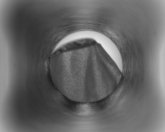 X0000095690325200802051318