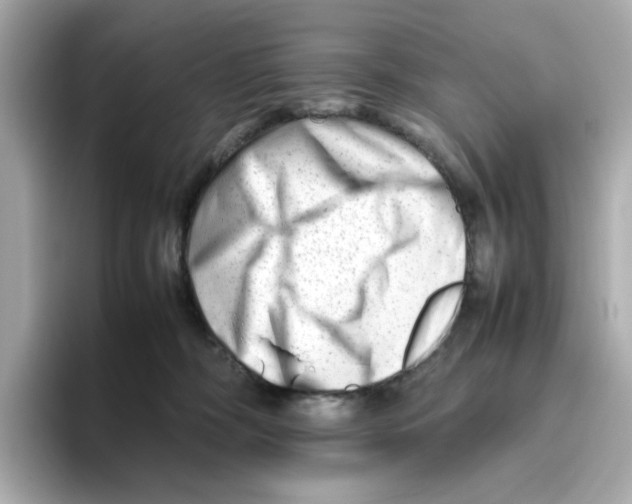 X0000095690326200802051318