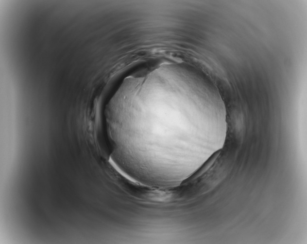 X0000095690328200802051318