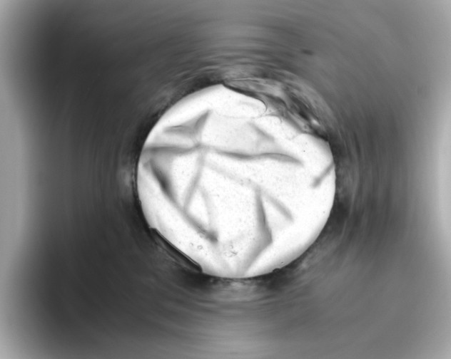 X0000095690329200802051318
