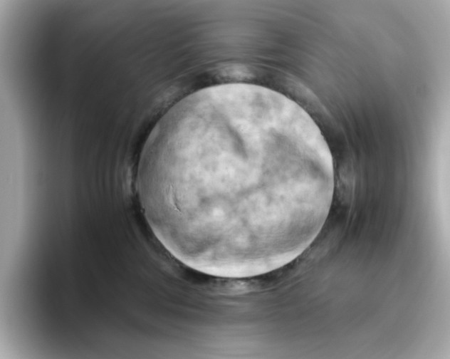 X0000095690330200802051318