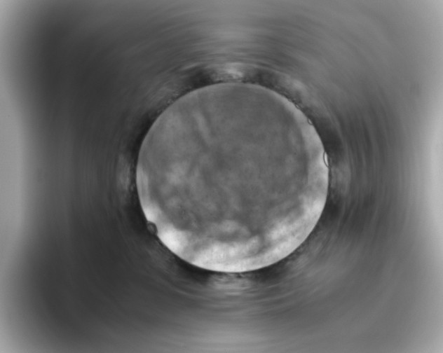 X0000095690331200802051318