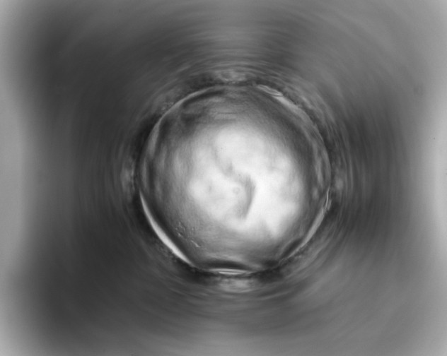 X0000095690332200802051318