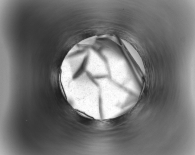 X0000095690333200802051318