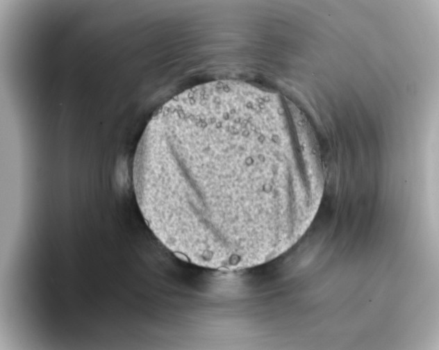 X0000095690335200802051318