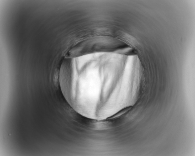 X0000095690336200802051318