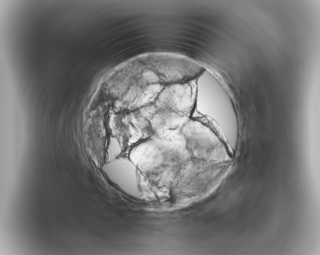 X0000095690337200802051317
