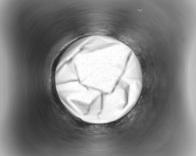 X0000095690338200802051317
