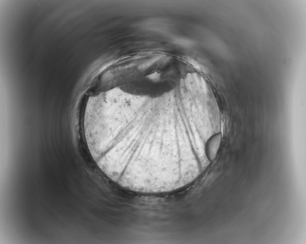 X0000095690339200802051317