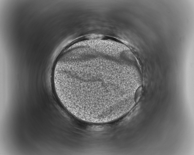 X0000095690341200802051317