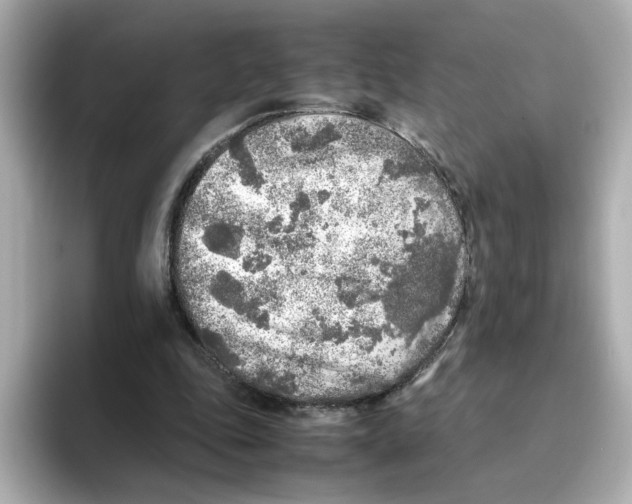 X0000095690343200802051317