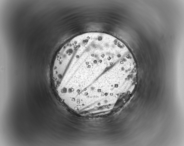 X0000095690345200802051317