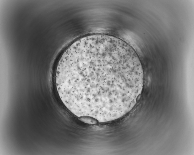 X0000095690346200802051317