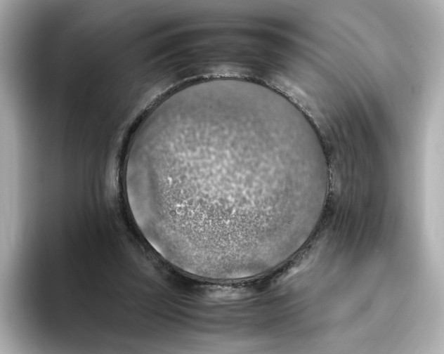 X0000095690347200802051317