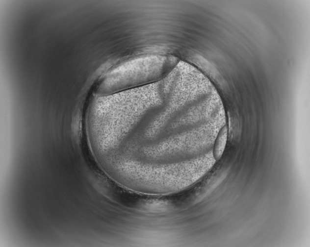 X0000095690348200802051317