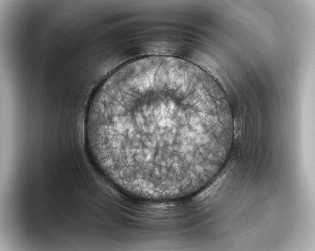X0000095690349200802051317
