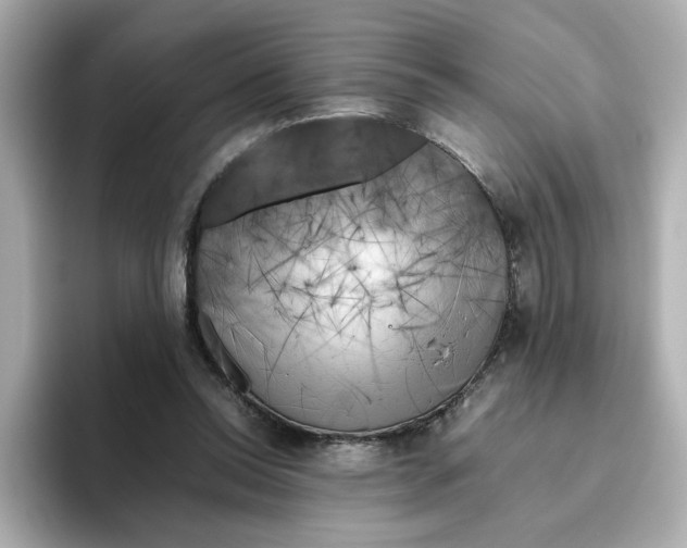 X0000095690350200802051317